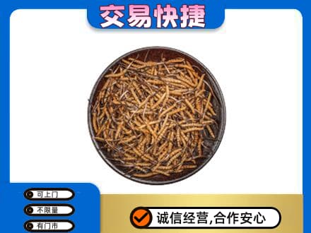 兴山区回收散虫草